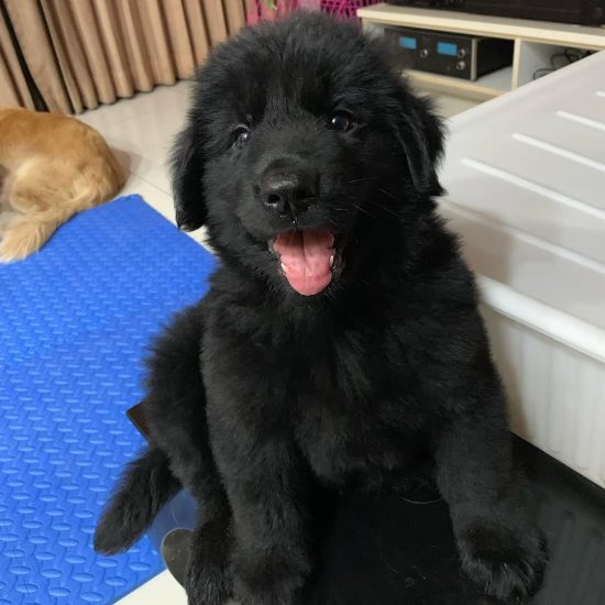 bingo 10 m